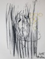 /album/kresba/z-tmy-jpg/
